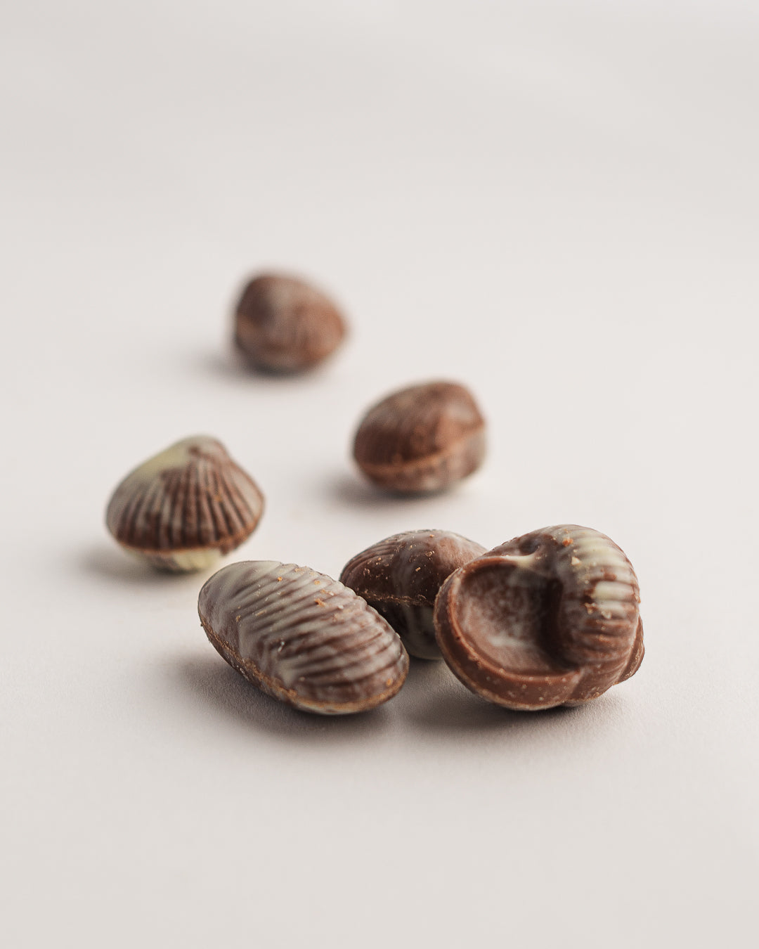 Sea shells