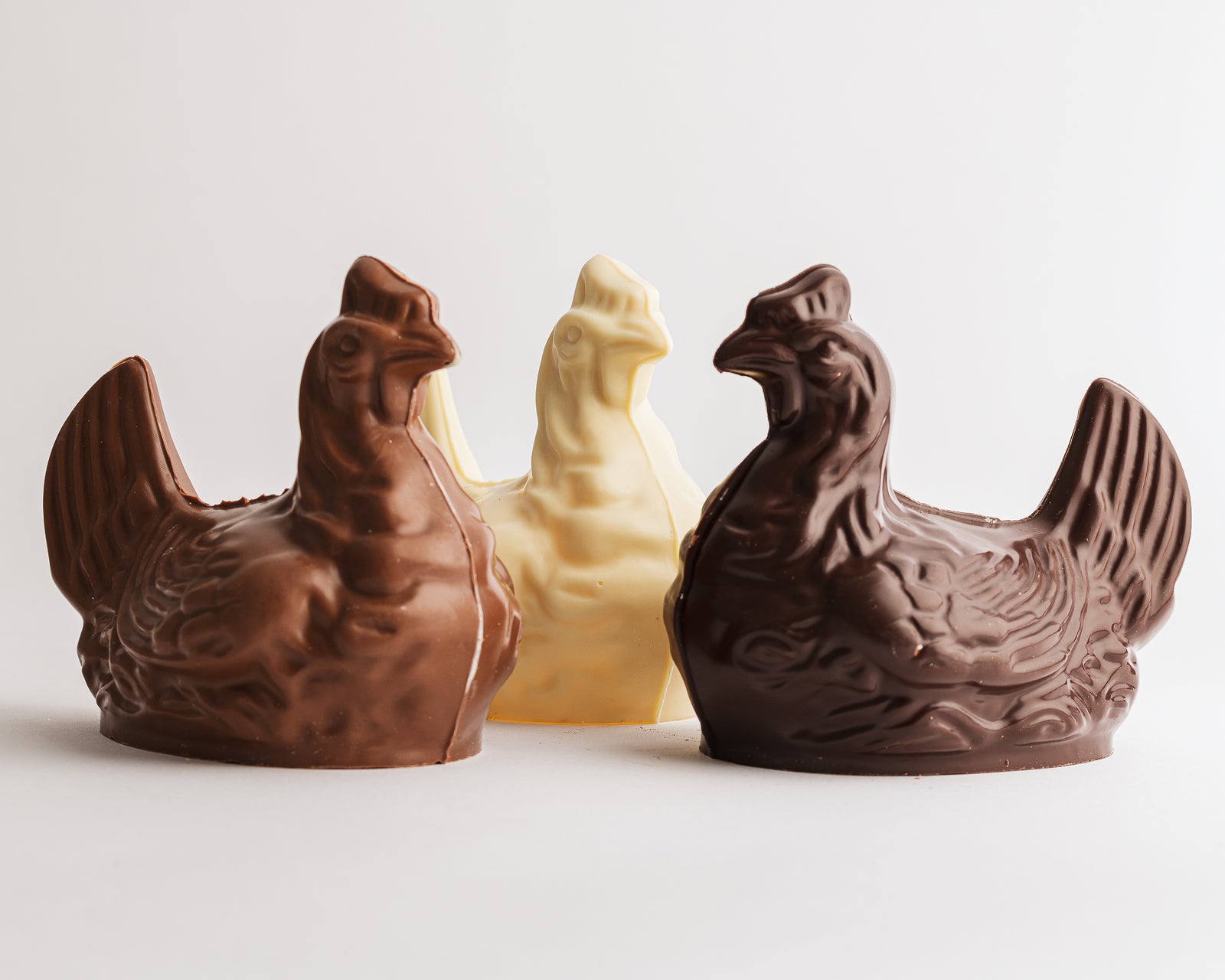 Seated chicken